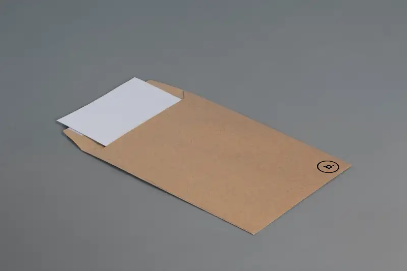 brown envelope