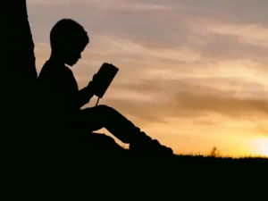 A silhoutte of a boy reading a book at sunset - educational disparity