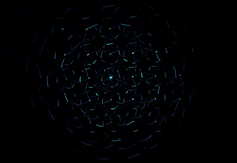 A dark, abstract, cell-like image