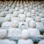 A sea of buddha statues