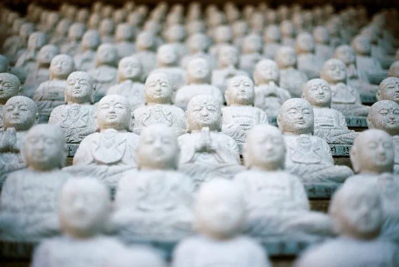 A sea of buddha statues