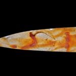 A bloody knife that looks more like tomato sauce
