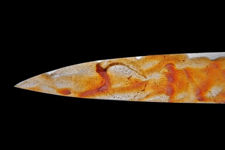A bloody knife that looks more like tomato sauce