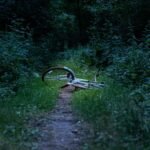 A discarded bike
