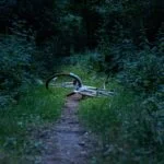 A discarded bike