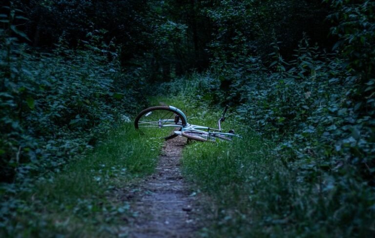 A discarded bike