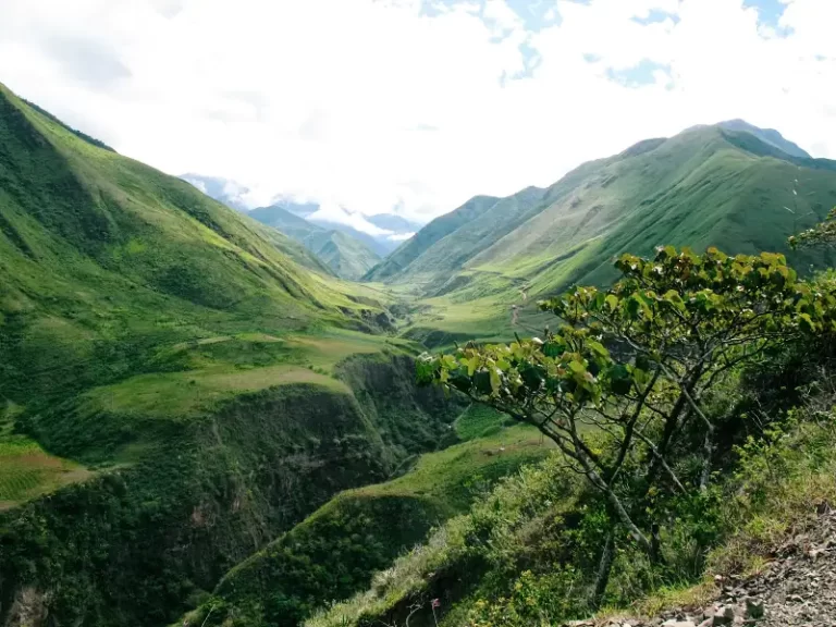 view from a highway in everyday life in ecuador