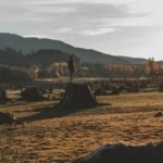 An environmental wasteland