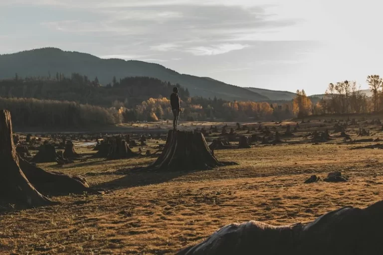 An environmental wasteland