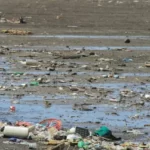A filthy beach covered in discarded plastics