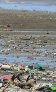 A filthy beach covered in discarded plastics
