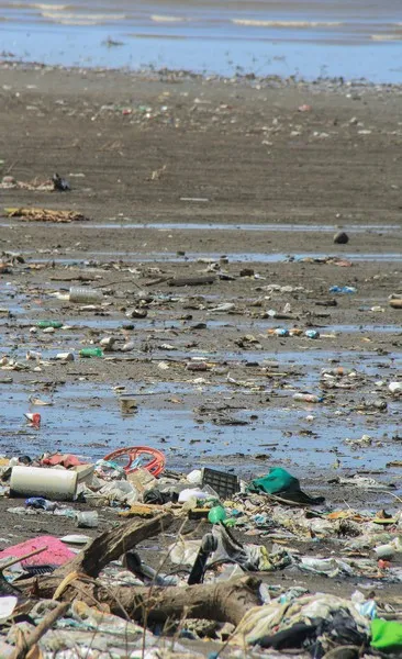A filthy beach covered in discarded plastics