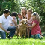multiple generations of the same family lineage stroking a dog on a sunny day