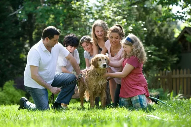 multiple generations of the same family lineage stroking a dog on a sunny day