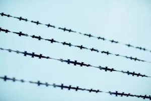 A barbed wire fence