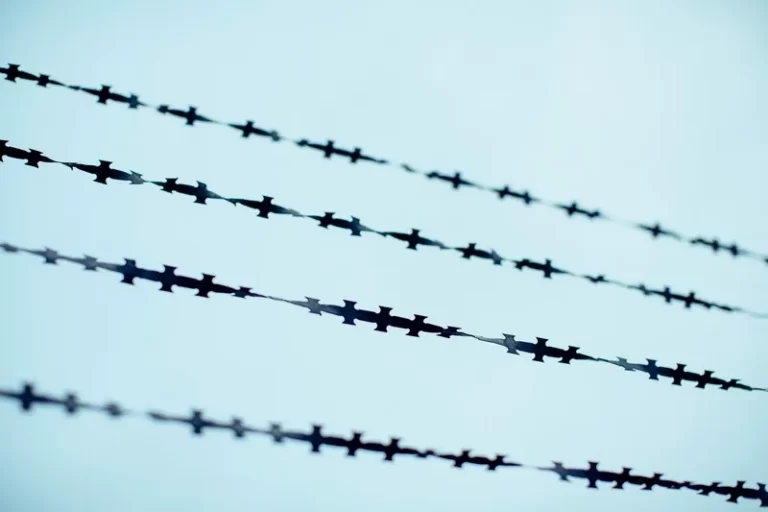 A barbed wire fence