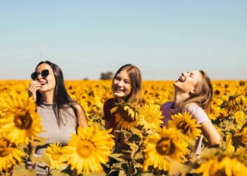 three women in a sunflower field laughing and having a converstaion on a sunny day