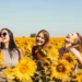 three women in a sunflower field laughing and having a converstaion on a sunny day