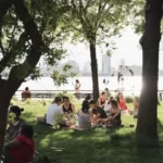 a group of people sitting around a tree on a sunny day sharing consensus