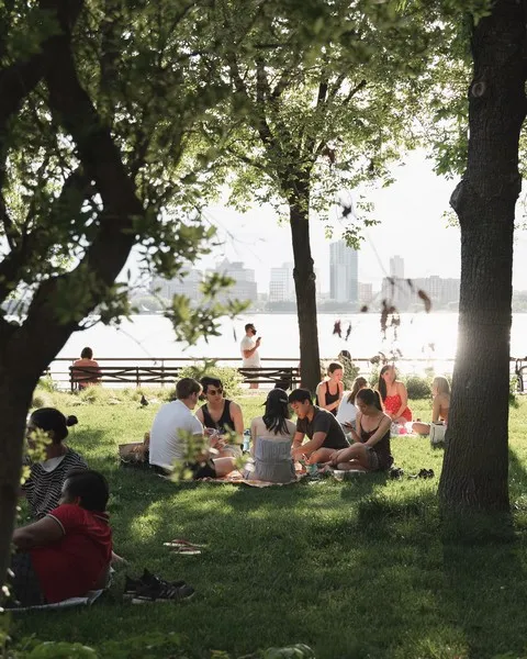 a group of people sitting around a tree on a sunny day sharing consensus