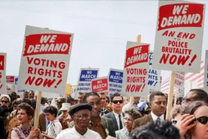 Protestors holding placards sdemanding the right to vote in democracy