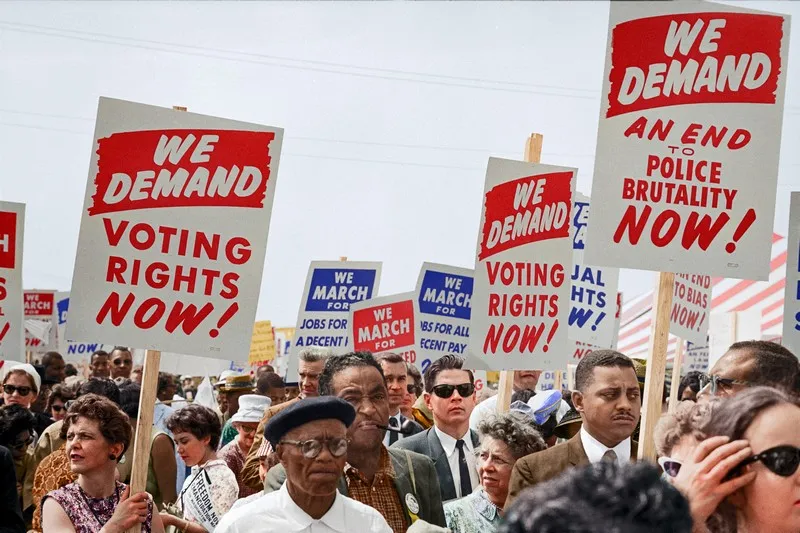 Protestors holding placards sdemanding the right to vote in democracy