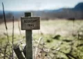 a boundary post in a field