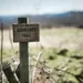 a boundary post in a field