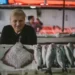 A market trading career with a man running a fish market stall