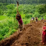 a person working on farmland in agribusiness