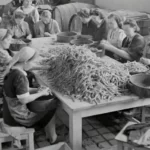 black and white image of women sat at a table peeling vegetables into basins