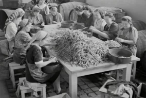 black and white image of women sat at a table peeling vegetables into basins
