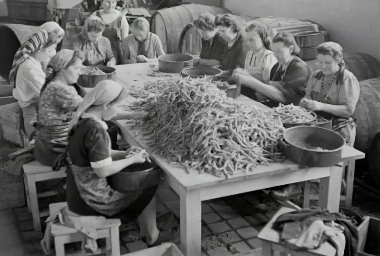 black and white image of women sat at a table peeling vegetables into basins