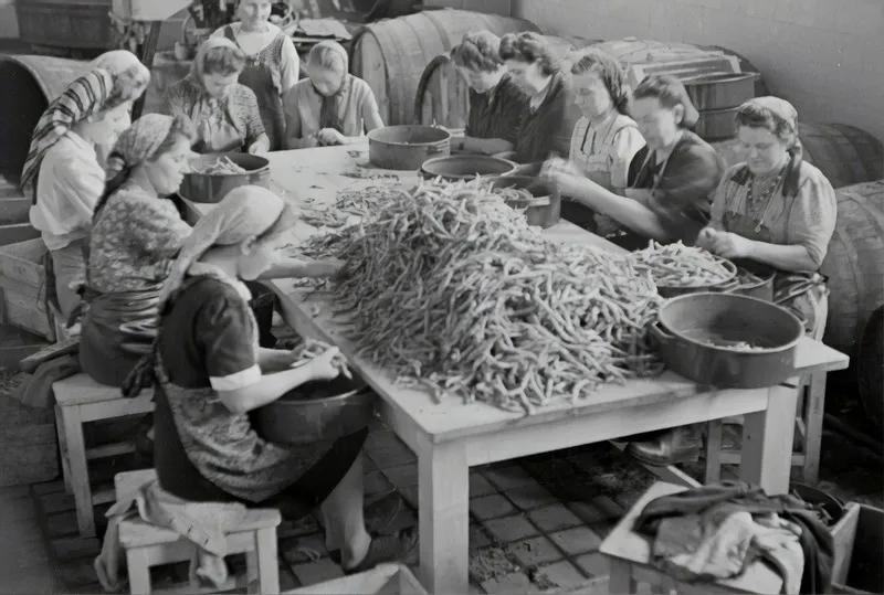 black and white image of women sat at a table peeling vegetables into basins