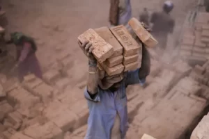 A man carrying a large pile of bricks