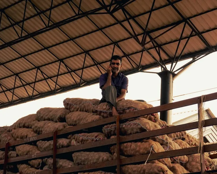 A man in a barn sat atop a giant pile of harvested potatos in bags - agrarianism