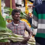 A man carrying a large amount of vegetables at a market - cathexis