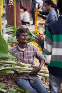 A man carrying a large amount of vegetables at a market - cathexis