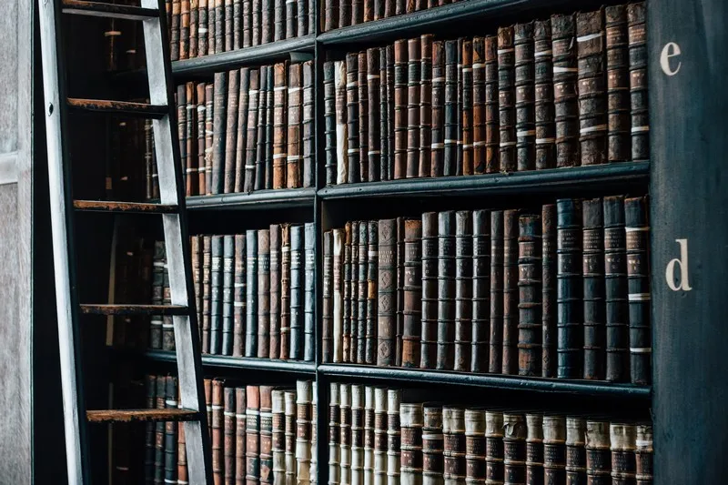 Shelves of archaic books