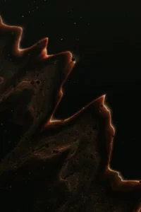 An abstract liquid in black and brown