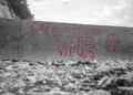 black and white shot of a grim wall. has red writing stating 'capitalism is the virus'. neoliberalism.