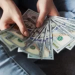 a person holding a fan of money income