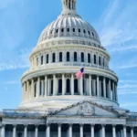 The white house politics
