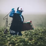 A person working the fields - division of labour