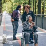 An aging woman in a wheelchair on a sunny day. She is surround by trees and shade.
