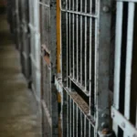 A prison cell door