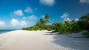 A paradise beach in the marshall islands