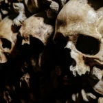 A line of wall-mounted skulls