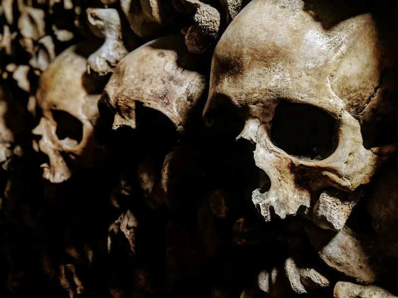 A line of wall-mounted skulls