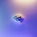 The brain against a purple background